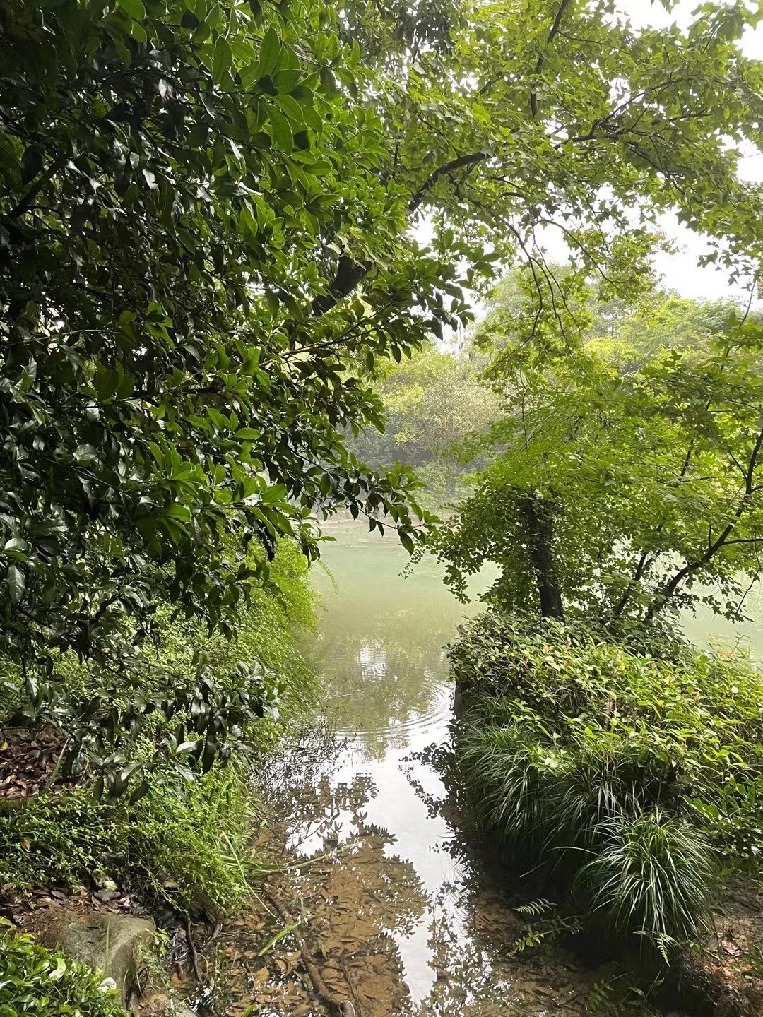90%杭州人不知道的玩水圣地