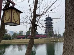 -洋湖国家湿地公园