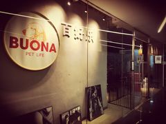 -百好乐宠物友好餐厅(朝外大街店)