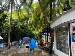 -海南分界洲岛旅游区