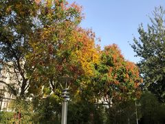 -庄怡公园