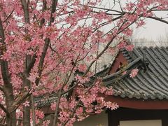 -堤角公园
