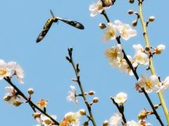 -荔枝公园(福田区)