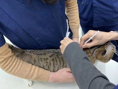 -拜鲁耶动物诊疗中心·宠家动物医院