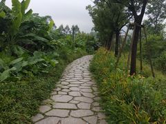 -美的鹭湖探索王国