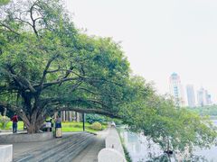 -南宁南湖公园