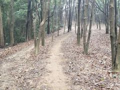 -火炉山森林公园