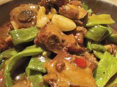 -小吊梨汤·北京菜·烤鸭(华润万象城店)