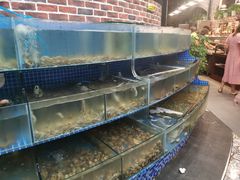 -蟹谢蒸鲜自助餐厅