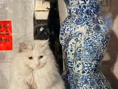 -创艺无限·赵春香微妙艺术馆