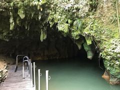 -怀托摩萤火虫洞