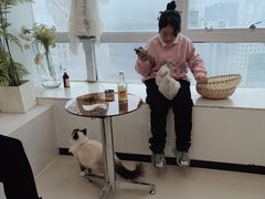 -共舞时光猫咖·狗咖(新街口店)