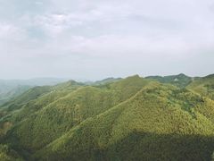 -鹿亭中村