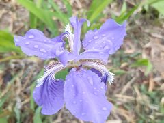 -仙海旅游度假区