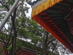 -塔尔寺