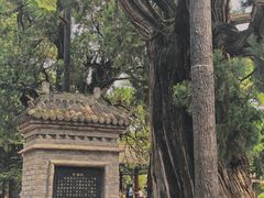 -黄帝陵