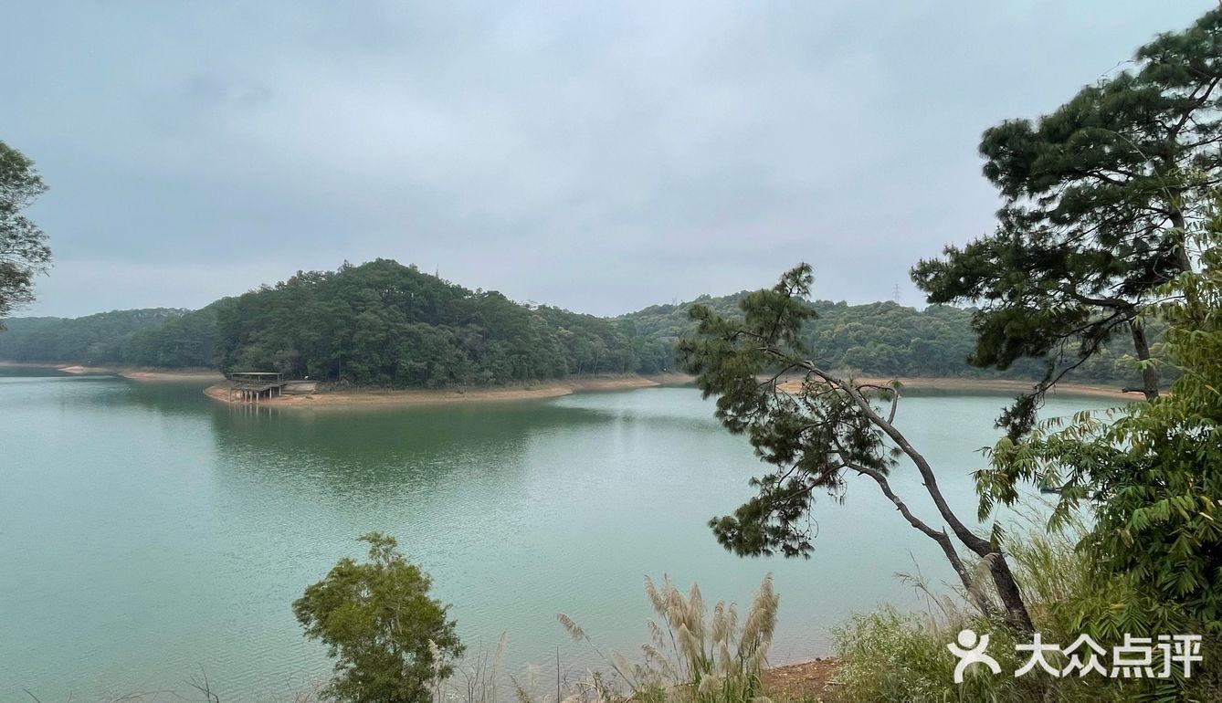 云南印象-普洱思茅-咖啡之一