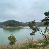 云南印象-普洱思茅-咖啡之一