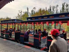 -西青郊野公园