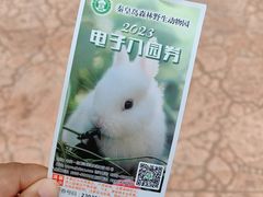 -秦皇岛野生动物园