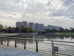 -映月湖中央公园