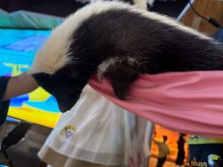 -Zoolung Zoolung动物主题公园(海信广场店)