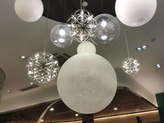 店内布置-飞行喵MR PILOT|猫舍·猫咖(静安大融城店)