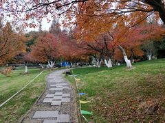 -南京古林公园