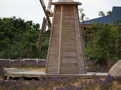 -南丹山森林王国