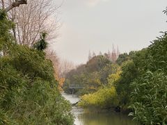 -上海滨江森林公园