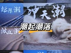 -观潮胜地公园