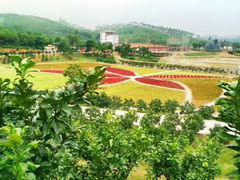 android_upload_pic-望天湖