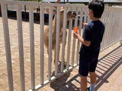 -赛汗塔拉风情园