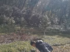 -汤山公园