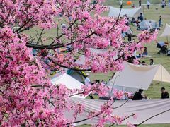 -风云岭森林公园