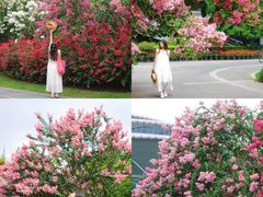 -杭州城北体育公园