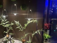 -大桶大足浴(山钢和润荟店)