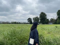 -汉长安城未央宫国家考古遗址公园