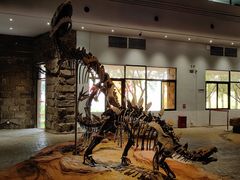 -自贡恐龙博物馆