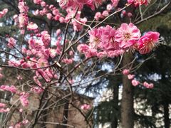 -木塔寺遗址生态公园