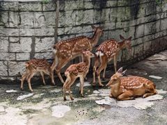 -成都动物园