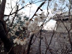 -樱桃山旅游景区
