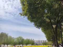 -汉江湾体育公园