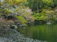 -醍醐寺