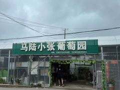 -马陆小张葡萄园农家乐