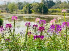 -中国科学院西双版纳热带植物园