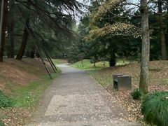 -杭州植物园