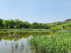 -西湖风景区-江洋畈生态公园