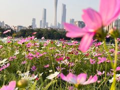 -海珠湖公园
