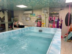 -小鸭先知婴儿游泳馆